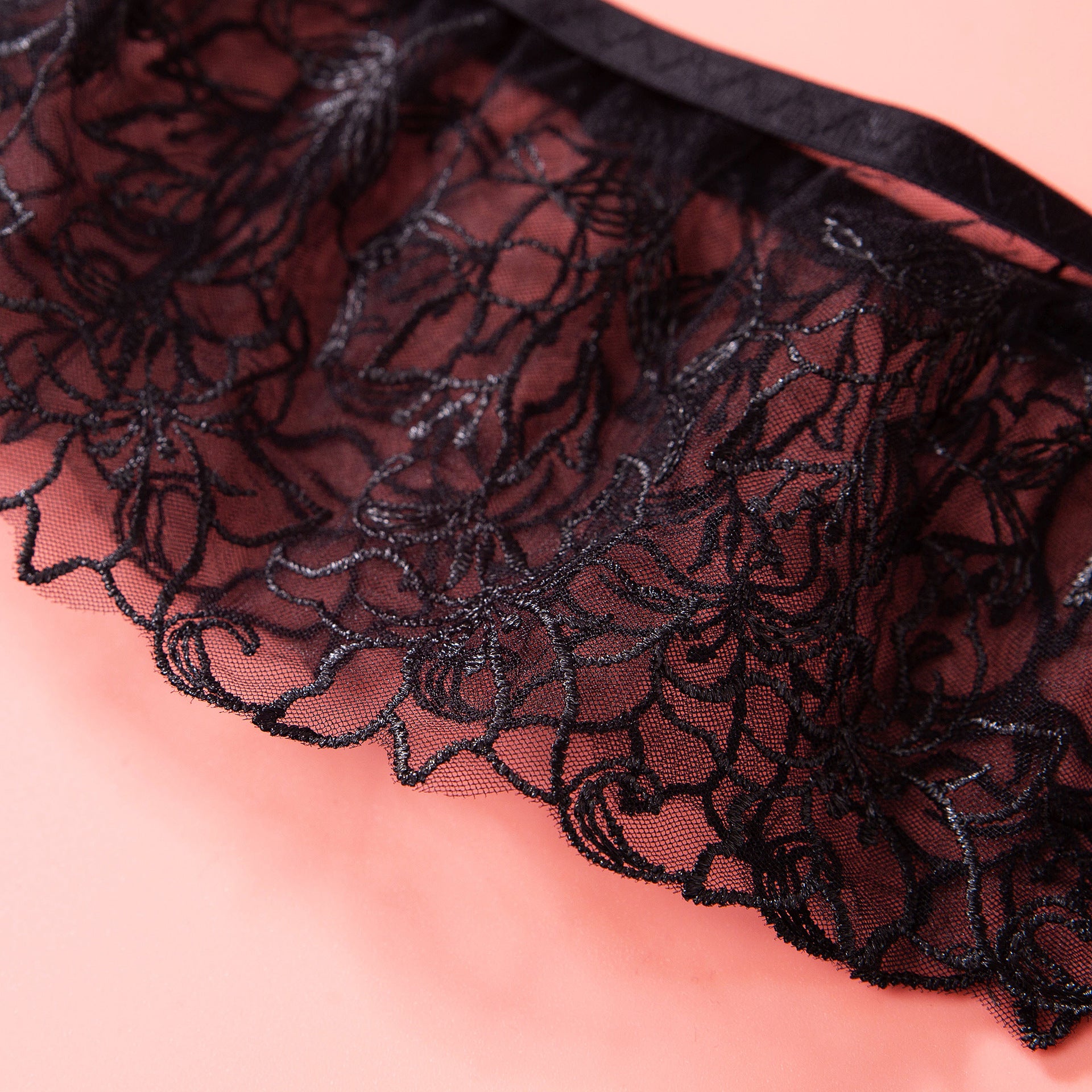 Sheer Lace Garter Lingerie Ensemble