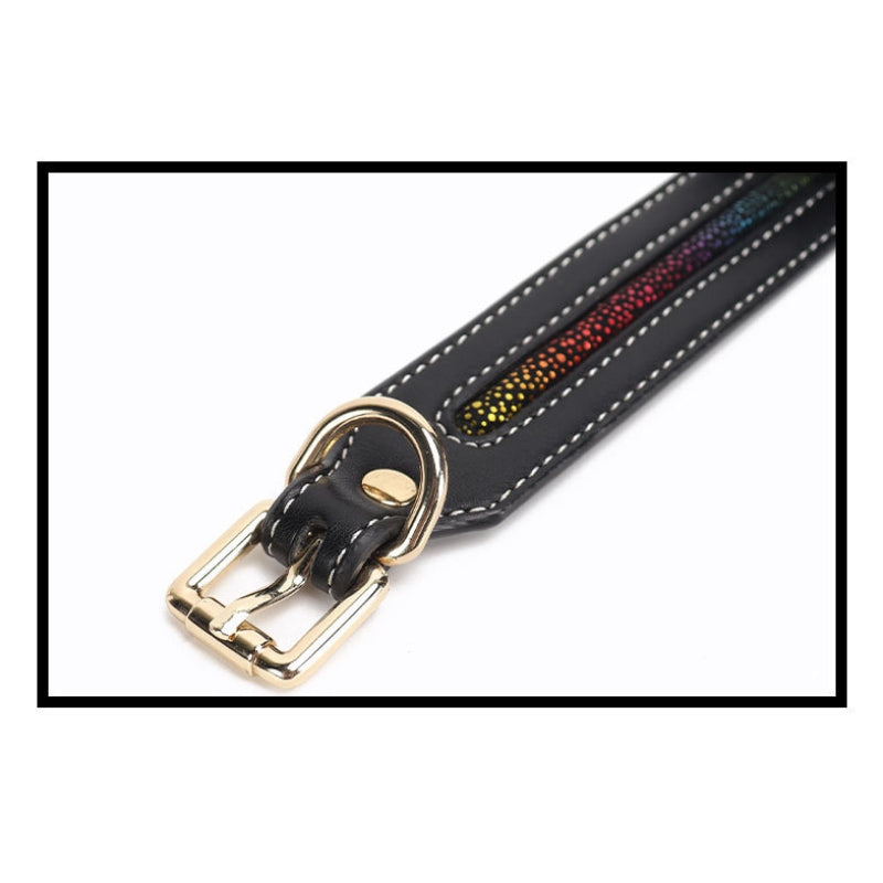 Dominatrix Starter Kit with Butterfly Accents