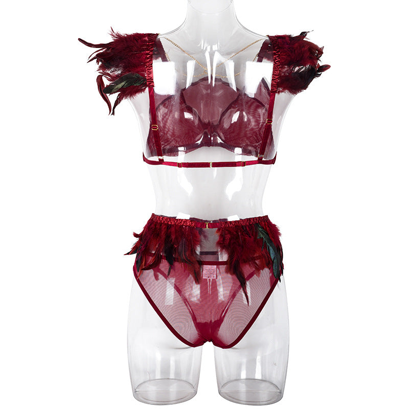 Fire Brick Sheer Mesh Bra and Panty Set with Feather