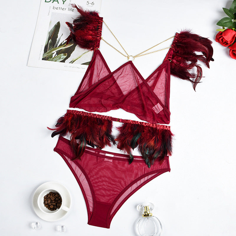 Fire Brick Sheer Mesh Bra and Panty Set with Feather