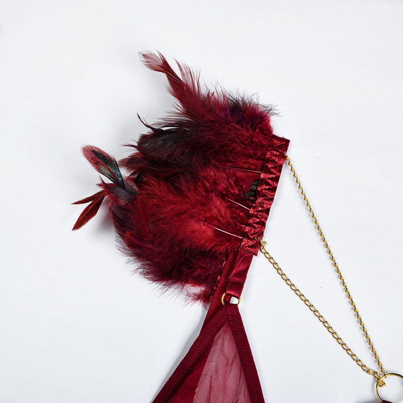 Fire Brick Sheer Mesh Bra and Panty Set with Feather