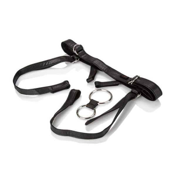 Her Royal Harness Duchess Black Boxed