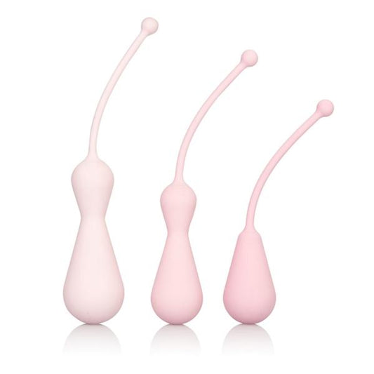 Inspire Weighted Silicone Kegel Training Set