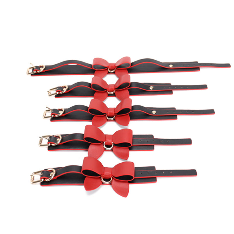 Bondage Kit in Red and Purple