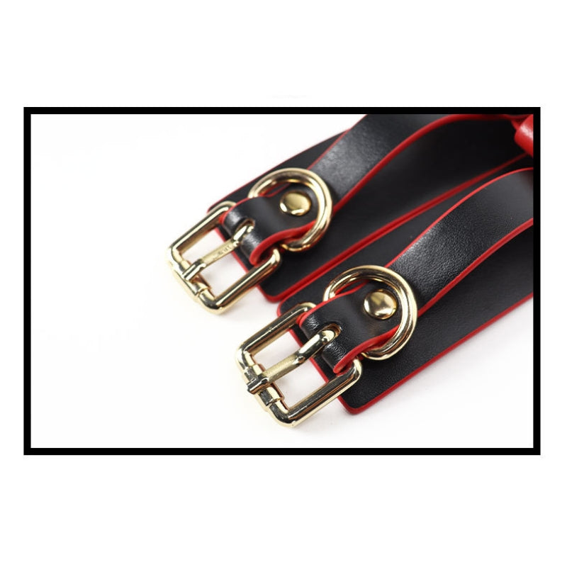 Bondage Kit in Red and Purple
