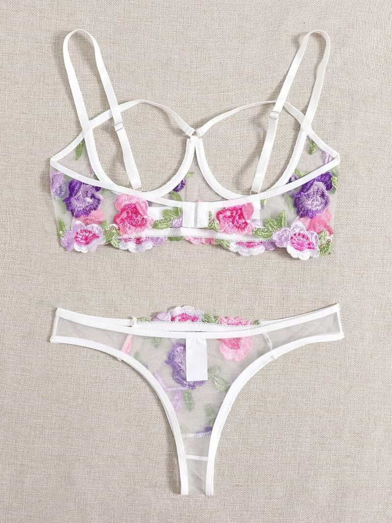 Lace Mesh Embroidered Bra Set
