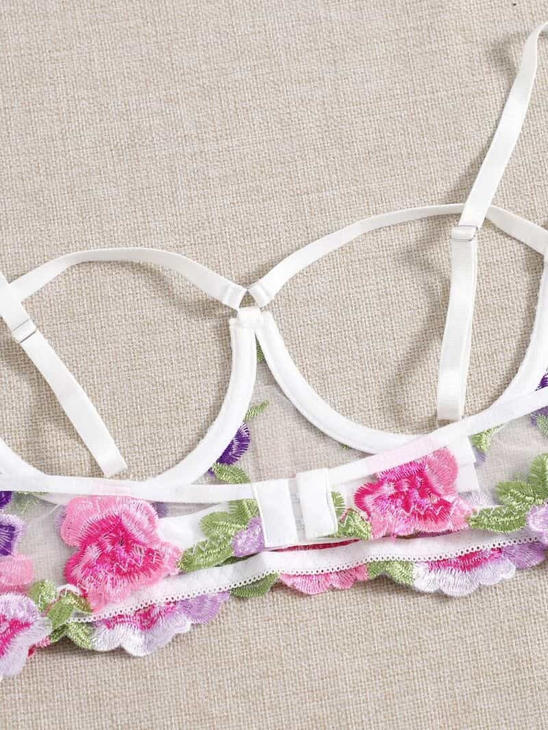 Lace Mesh Embroidered Bra Set