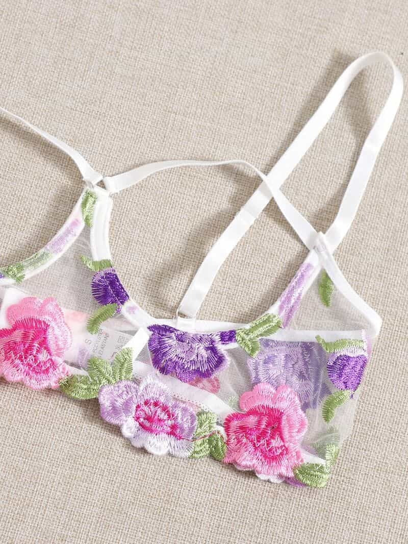 Lace Mesh Embroidered Bra Set