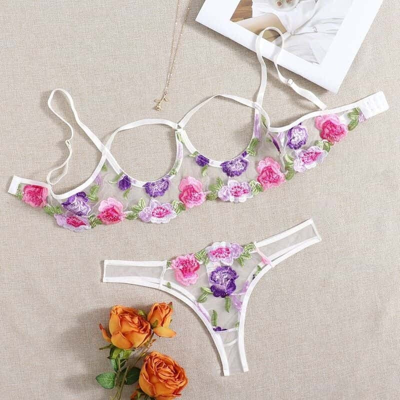 Lace Mesh Embroidered Bra Set
