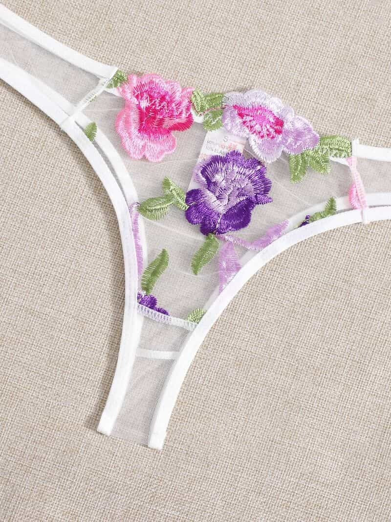 Lace Mesh Embroidered Bra Set