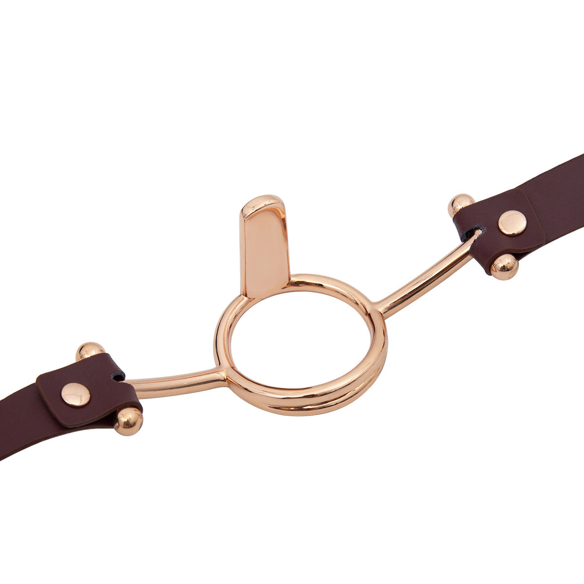 O Ring Gag with Mouth Spreader