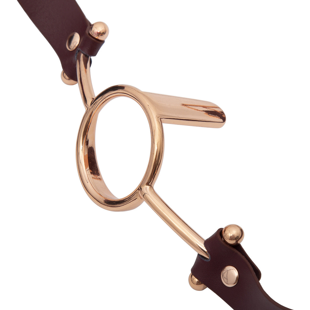 O Ring Gag with Mouth Spreader
