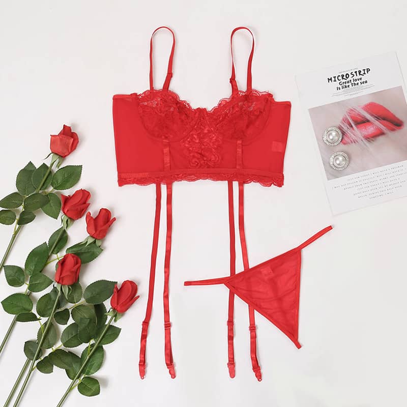 Simple Lace Hollow Out Sexy Lingerie Set