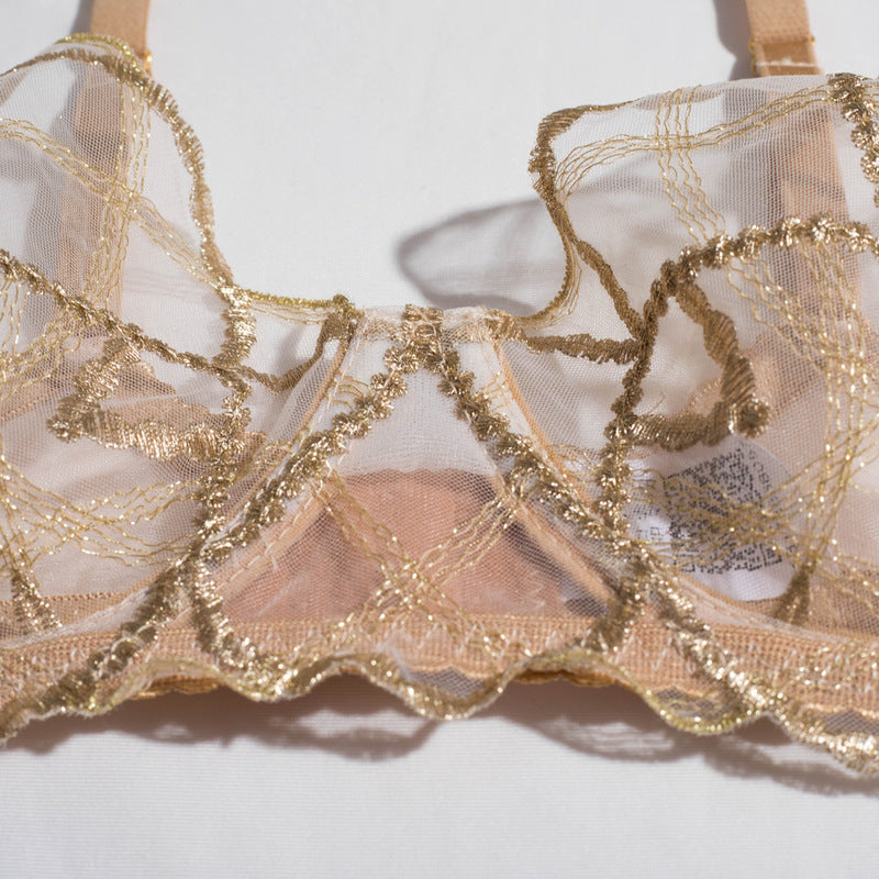 Sheer Mesh Beige Bra Set with Embroidered Detailing
