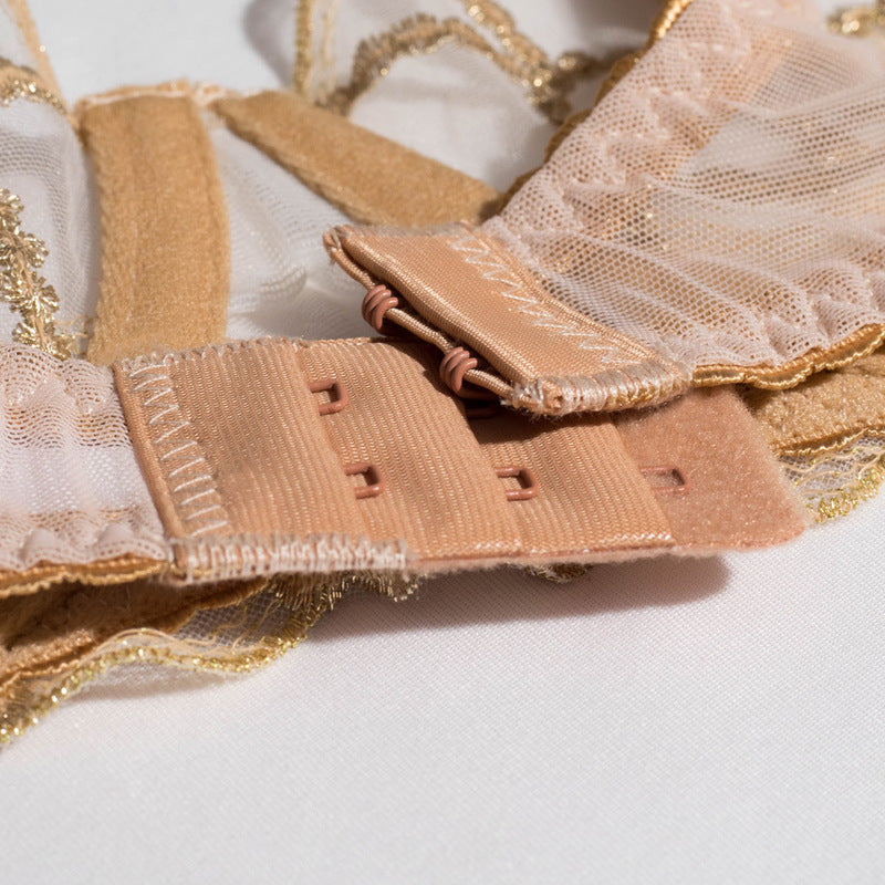 Sheer Mesh Beige Bra Set with Embroidered Detailing