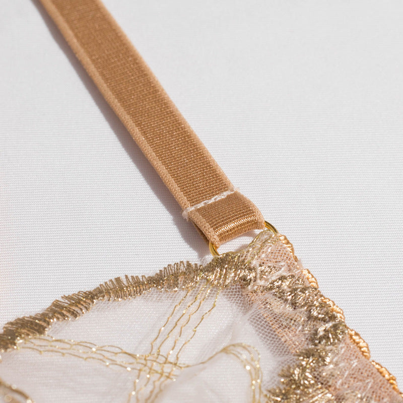 Sheer Mesh Beige Bra Set with Embroidered Detailing