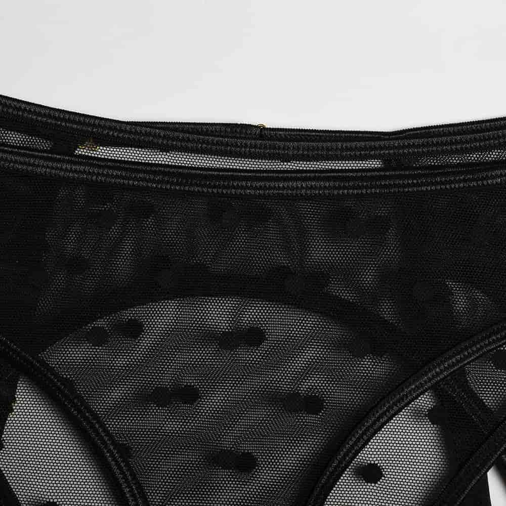 Sheer Mesh Polka Dot Bra Set