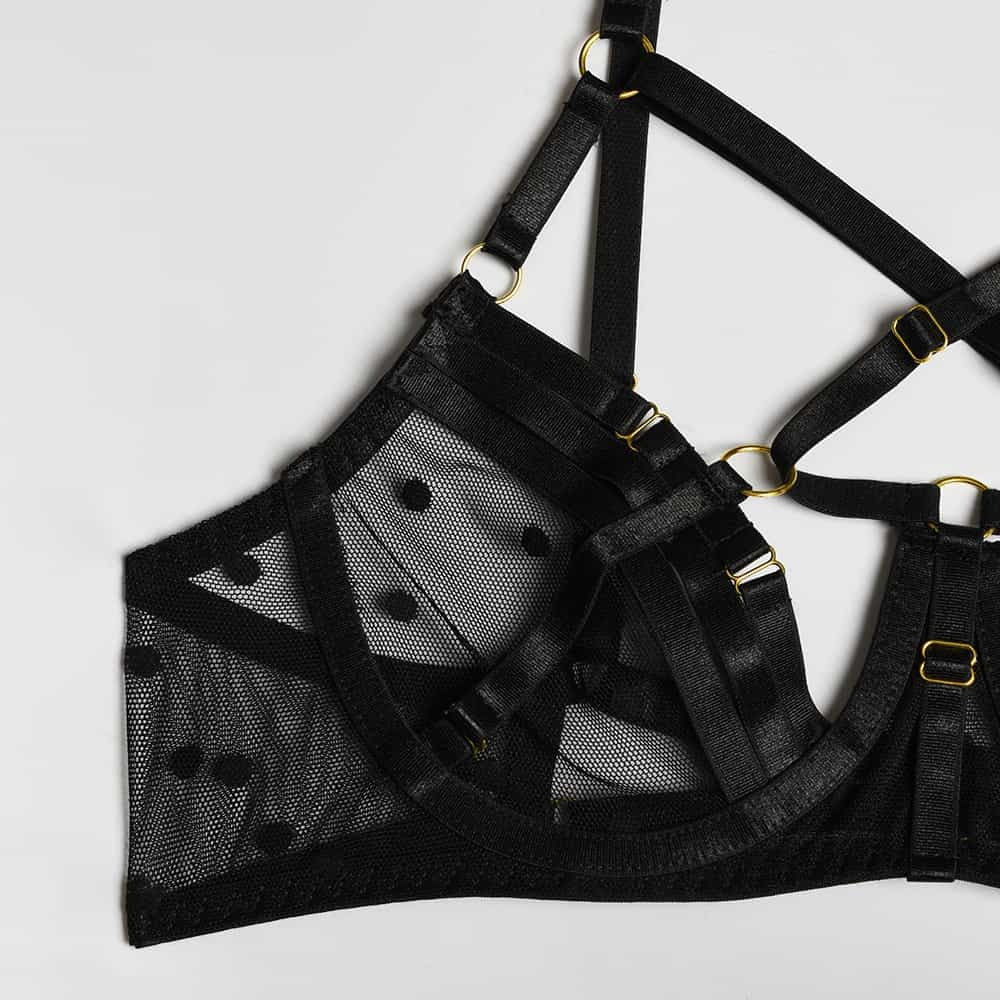 Sheer Mesh Polka Dot Bra Set