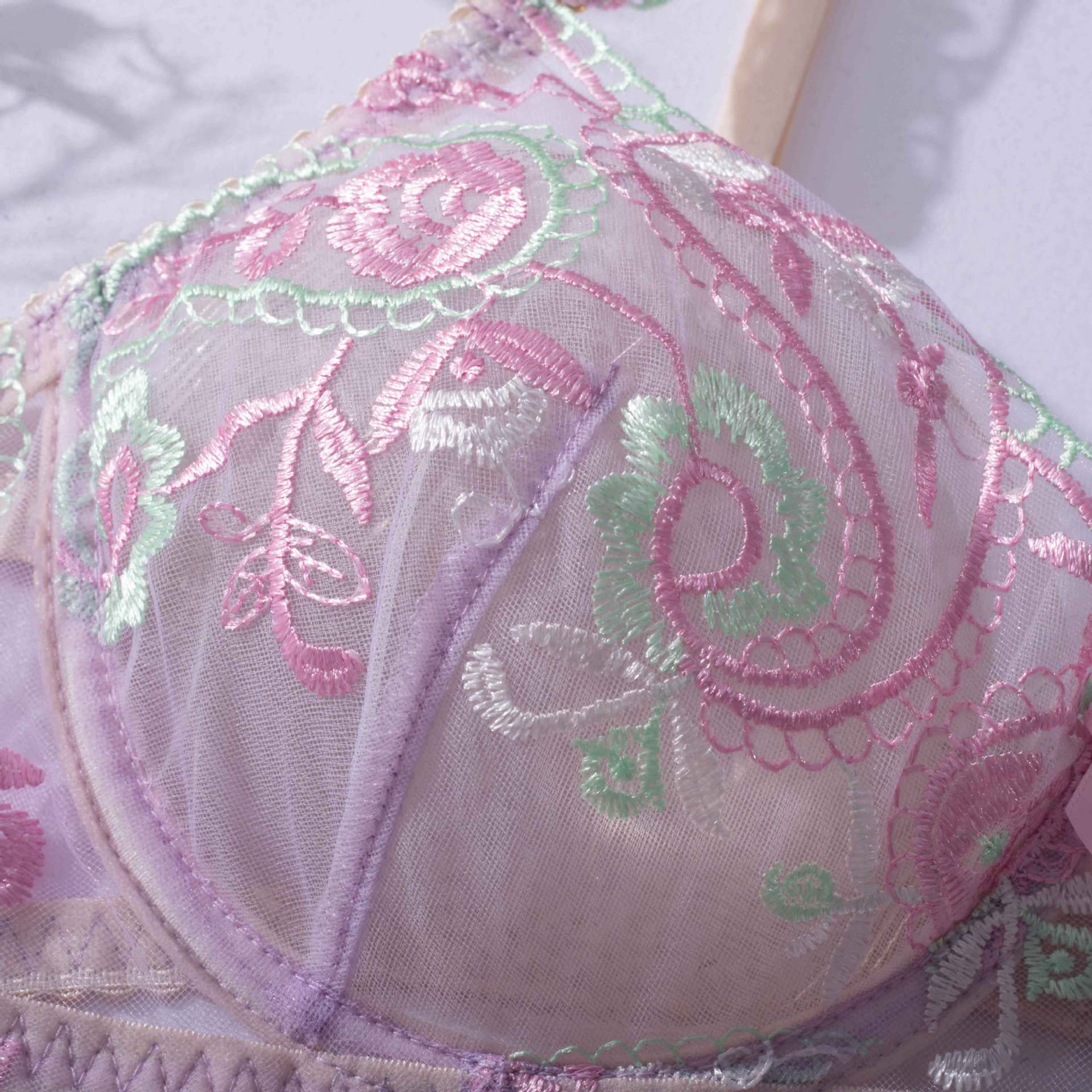 Sheer Mesh Sexy Lingerie Bra Set with Embroidered Flowers