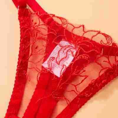 Sheer Lace Garter Lingerie Ensemble