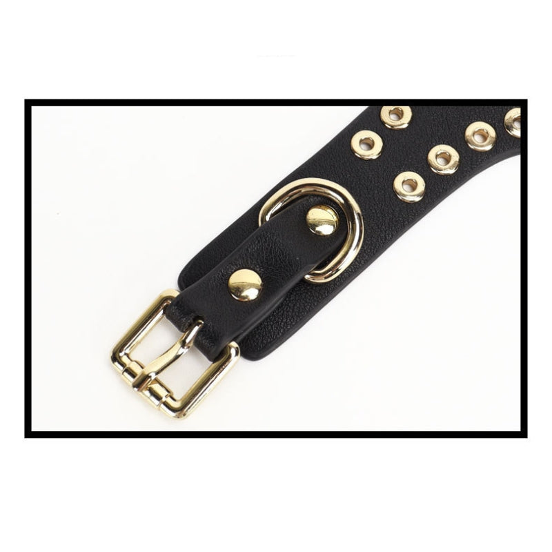 Submissive Starter Kit with Rivet Design