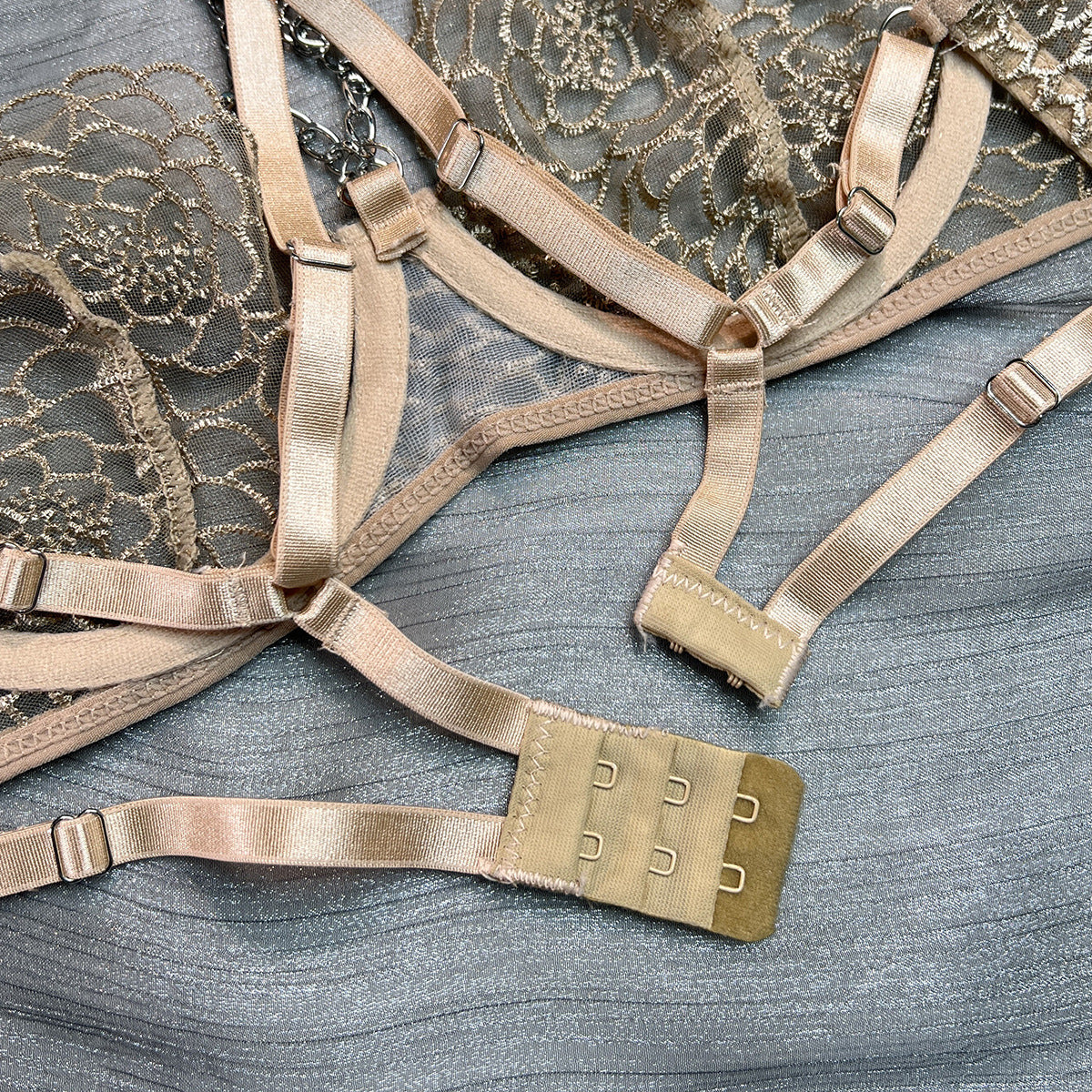 Fancy Bra Panty Set in Beige Mesh with Embroidery