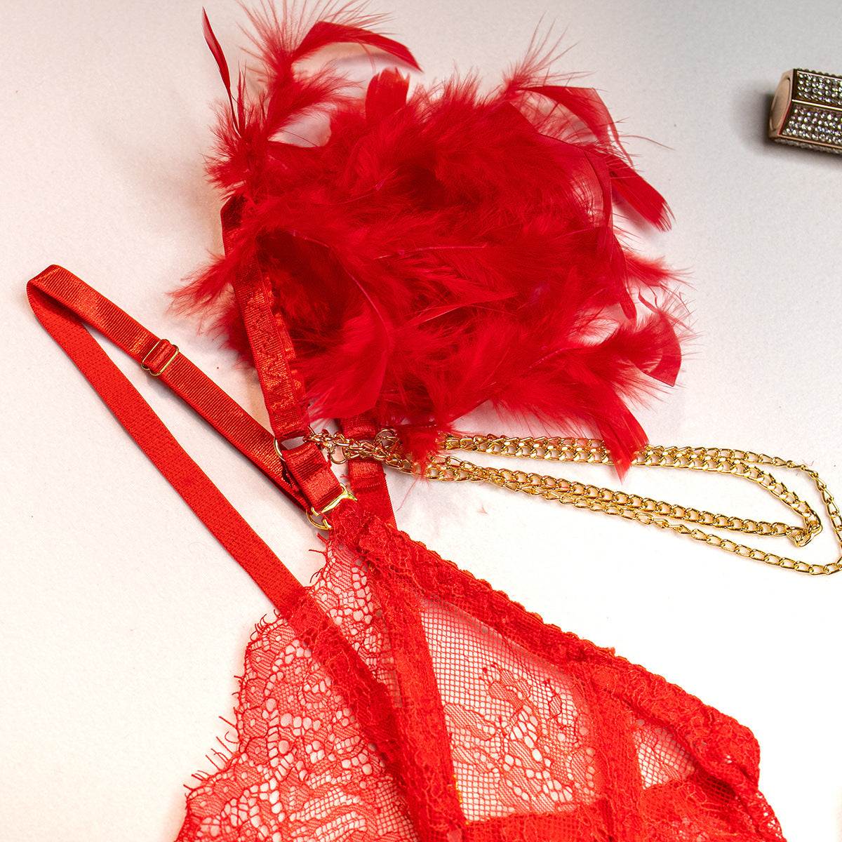 Sexy Lace Bra and Panties Set with Feather Details